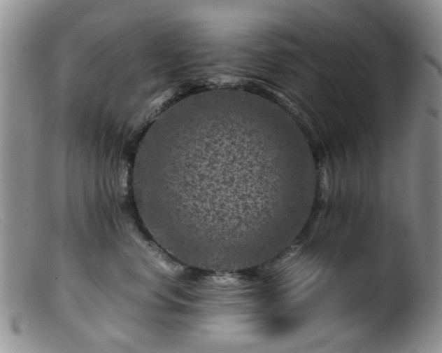 X0000099470668200805161112