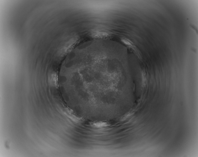 X0000099470669200805161112
