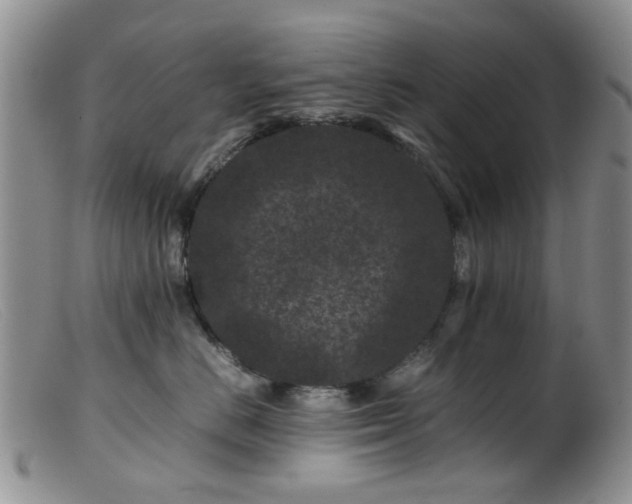 X0000099470670200805161112