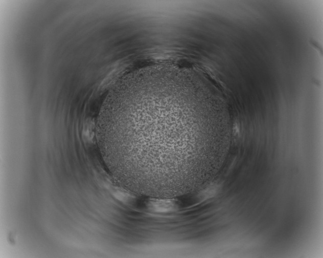 X0000099470671200805161112