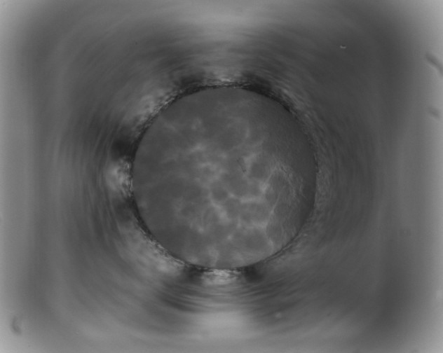 X0000099470672200805161112