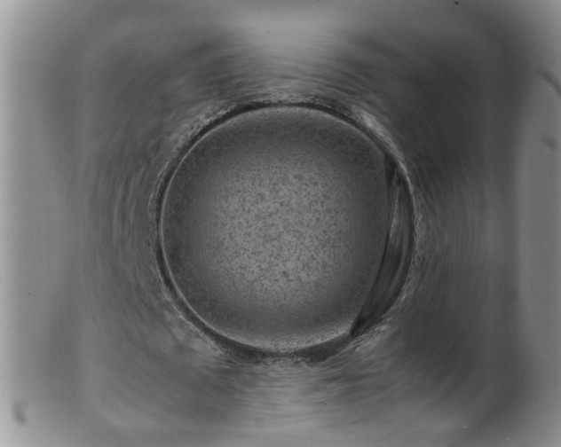 X0000099470673200805161112