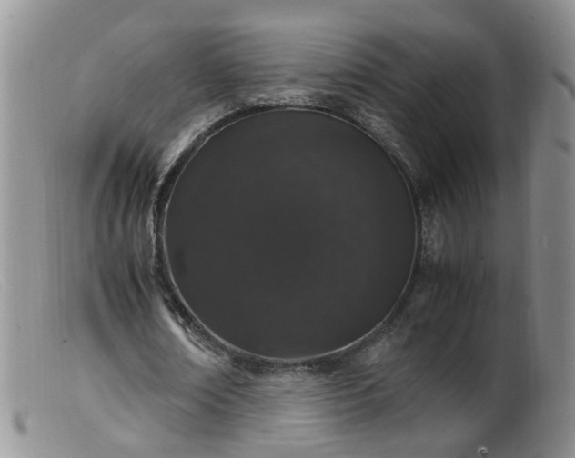 X0000099470674200805161112