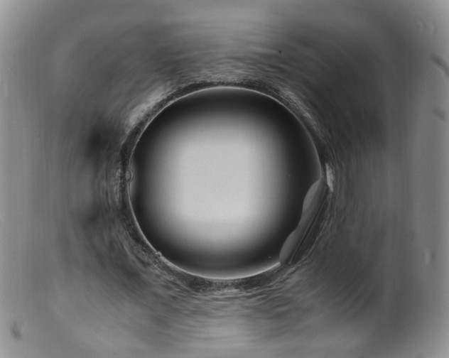 X0000099470675200805161112