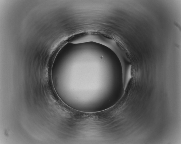X0000099470676200805161111