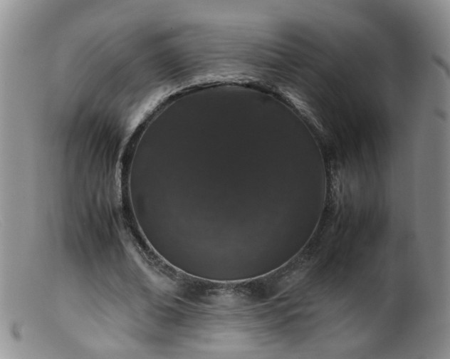 X0000099470678200805161111