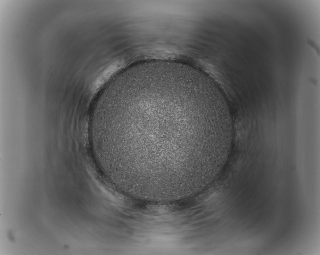 X0000099470679200805161111