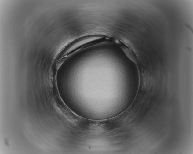 X0000099470680200805161111