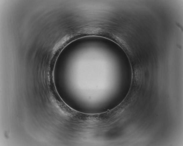 X0000099470682200805161111