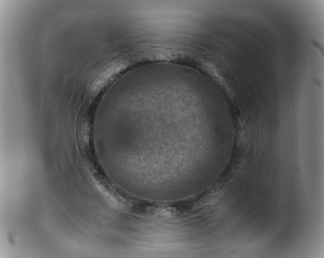 X0000099470683200805161111