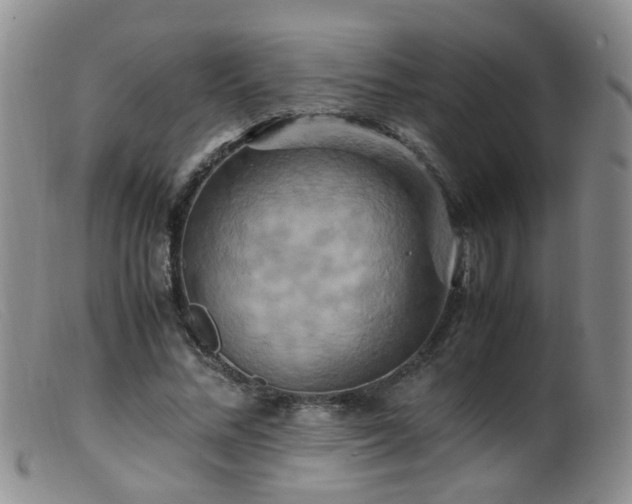 X0000099470684200805161111