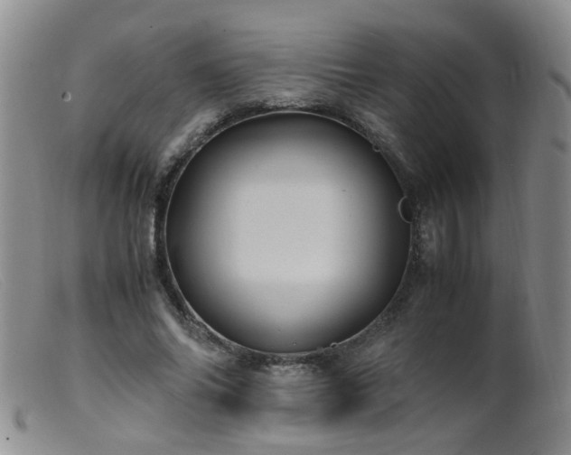 X0000099470686200805161111