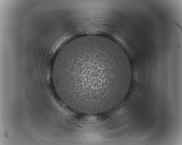 X0000099470687200805161111