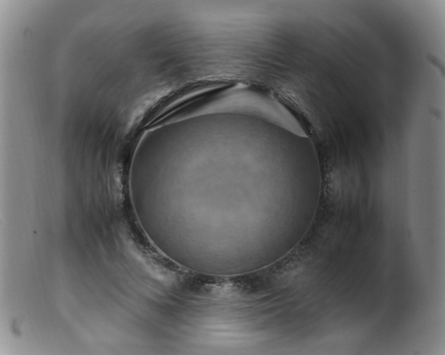 X0000099470688200805161111