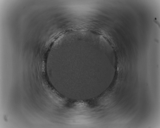 X0000099470689200805161111
