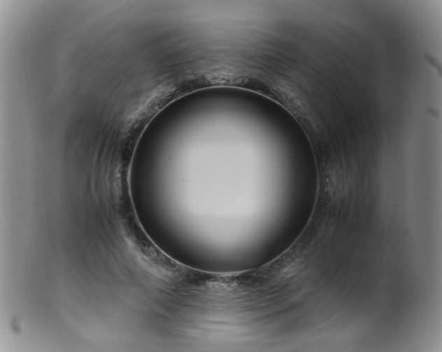 X0000099470690200805161111