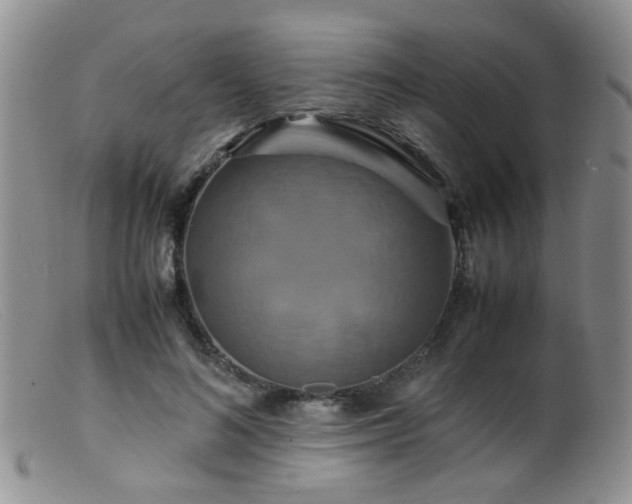 X0000099470692200805161111