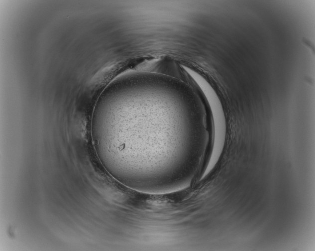 X0000099470693200805161111