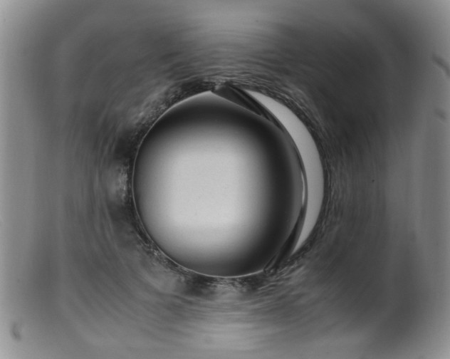 X0000099470697200805161111