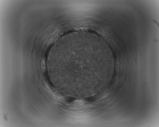 X0000099470699200805161111