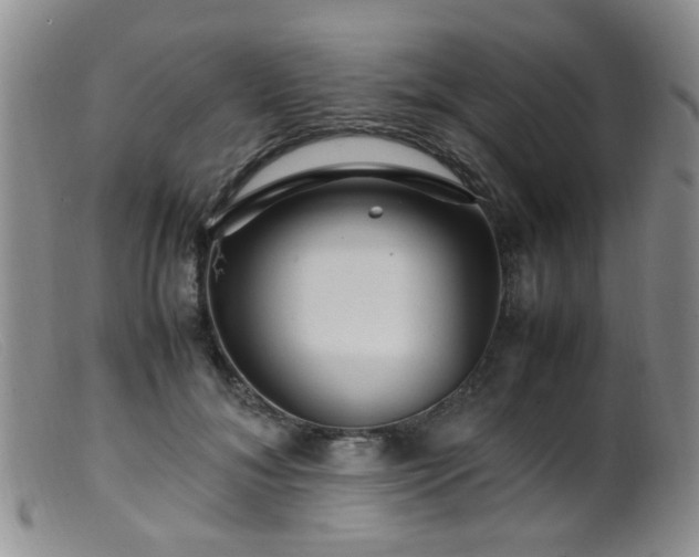 X0000099470700200805161111