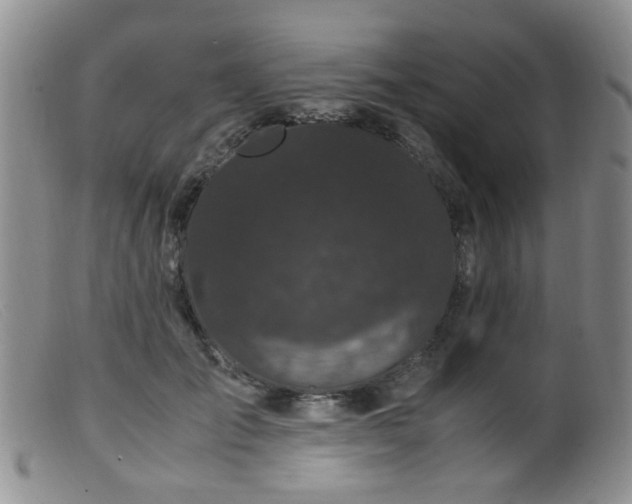 X0000099470701200805161111
