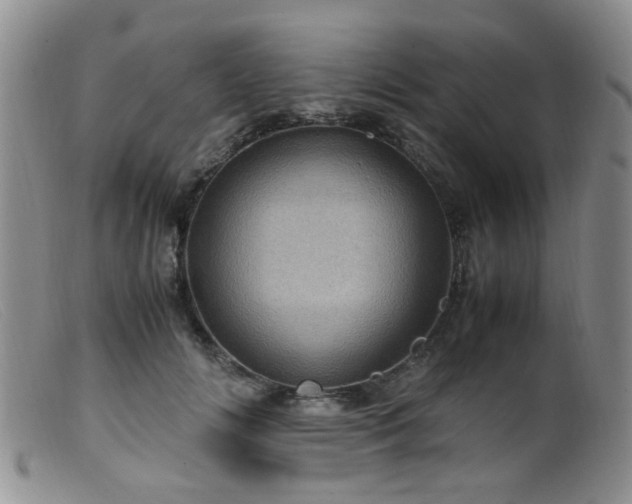 X0000099470702200805161111