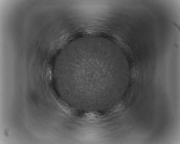 X0000099470703200805161111