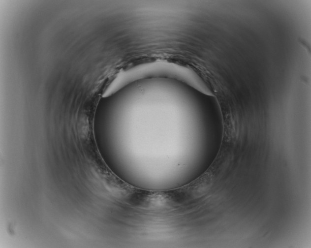 X0000099470704200805161111