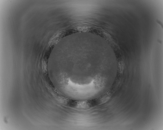 X0000099470705200805161111