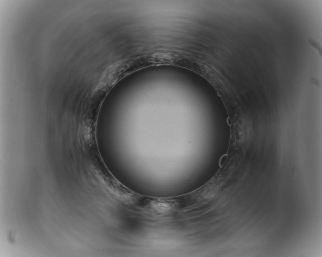 X0000099470706200805161111