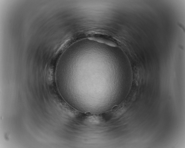 X0000099470708200805161111
