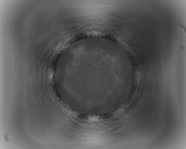 X0000099470709200805161111