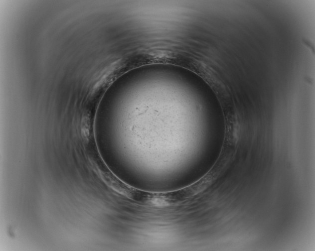 X0000099470710200805161111