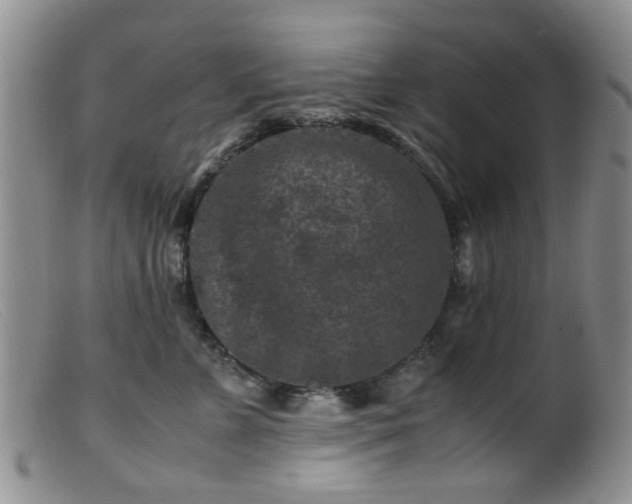 X0000099470715200805161111