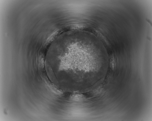 X0000099470716200805161111