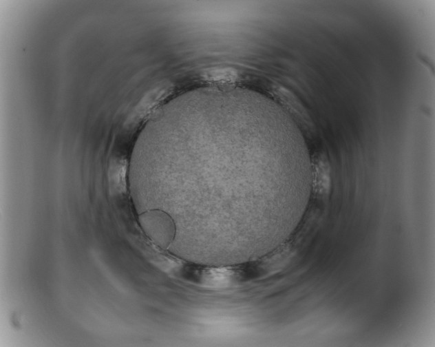 X0000099470717200805161111