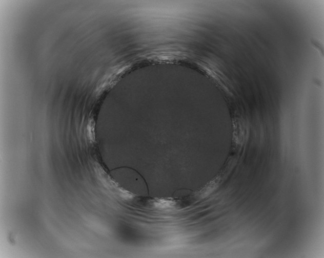 X0000099470718200805161111