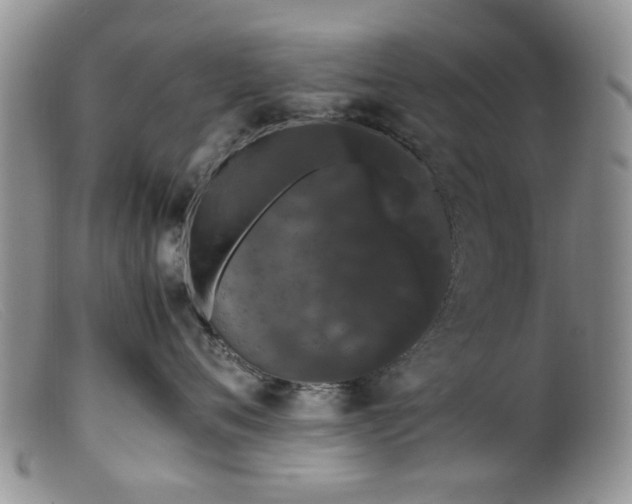 X0000099470720200805161111