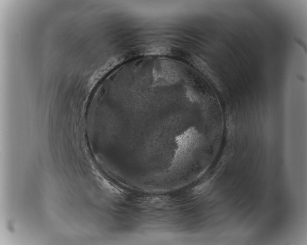 X0000099470721200805161110