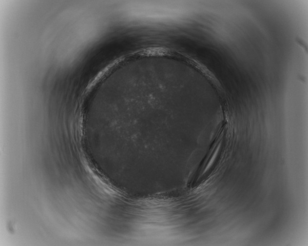 X0000099470722200805161110
