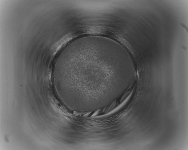 X0000099470723200805161110
