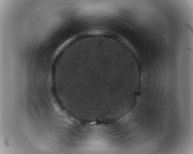 X0000099470724200805161110