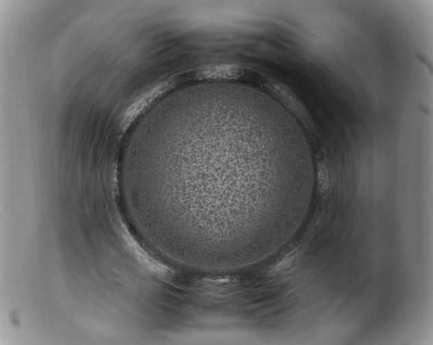 X0000099470725200805161110
