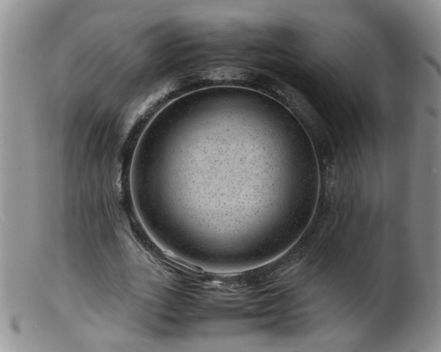 X0000099470727200805161110
