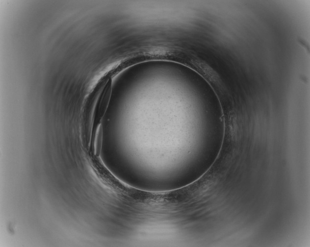 X0000099470728200805161110