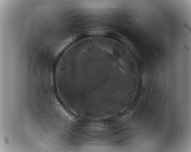 X0000099470729200805161110