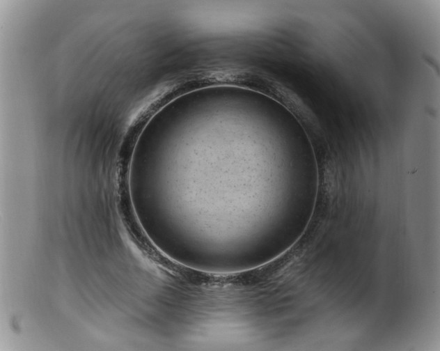 X0000099470730200805161110