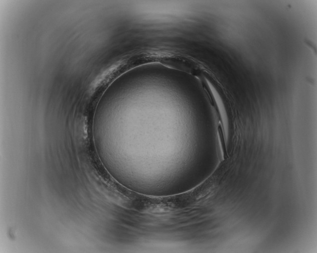 X0000099470731200805161110