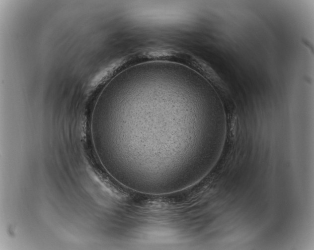X0000099470732200805161110